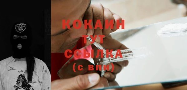 соль ск Алзамай