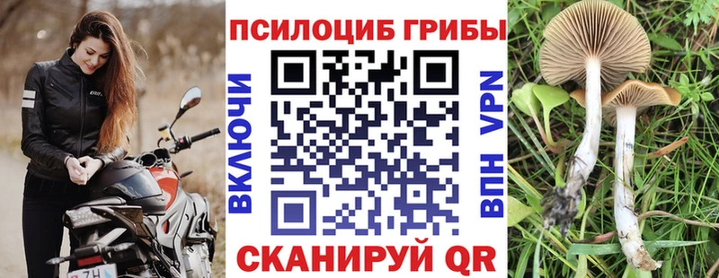 Галлюциногенные грибы GOLDEN TEACHER  купить   Кирсанов 